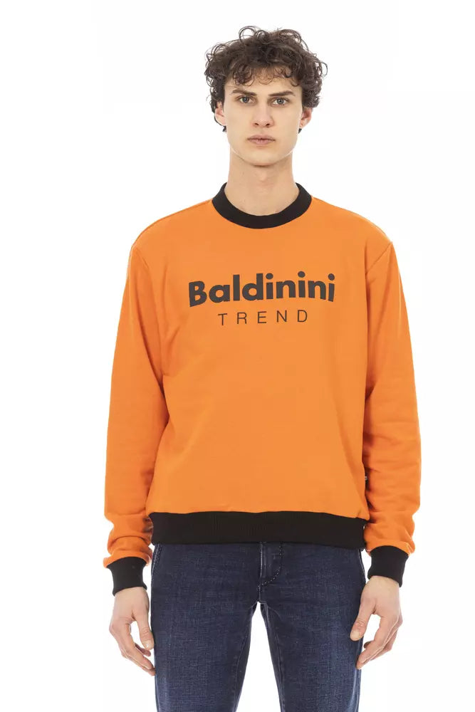 Men's neutron sweater-Baldinini Trend  Cotton Men's Sweater